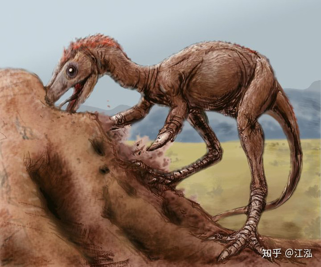 Phát hiện loài động vật hai ngón chuyên ăn cắp trứng khủng long - Ảnh 9.
