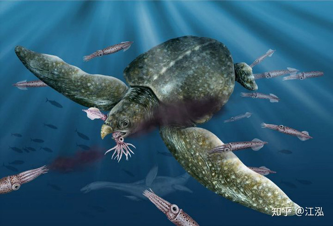 Phát hiện loài rùa biển cổ đại còn to lớn hơn cả một cái ô tô - Ảnh 10.