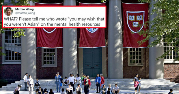 Đại học Harvard vừa có một phát ngôn khiến cộng đồng người gốc Á phẫn nộ, buộc phải lên tiếng xin lỗi - Ảnh 2.