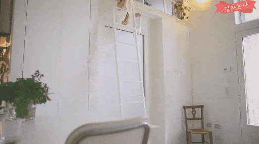 Cụ bà 68 tuổi người Hàn Quốc: 7 giờ thức 12 giờ đi ngủ, 45 năm kiên trì một chuyện sẽ cho bạn biết thế nào là tự giác kỉ luật tới cực hạn - Ảnh 3. Cụ bà 68 tuổi người Hàn Quốc: 7 giờ thức 12 giờ đi ngủ, 45 năm kiên trì một chuyện sẽ cho bạn biết thế nào là tự giác kỉ luật tới cực hạn - Ảnh 3.