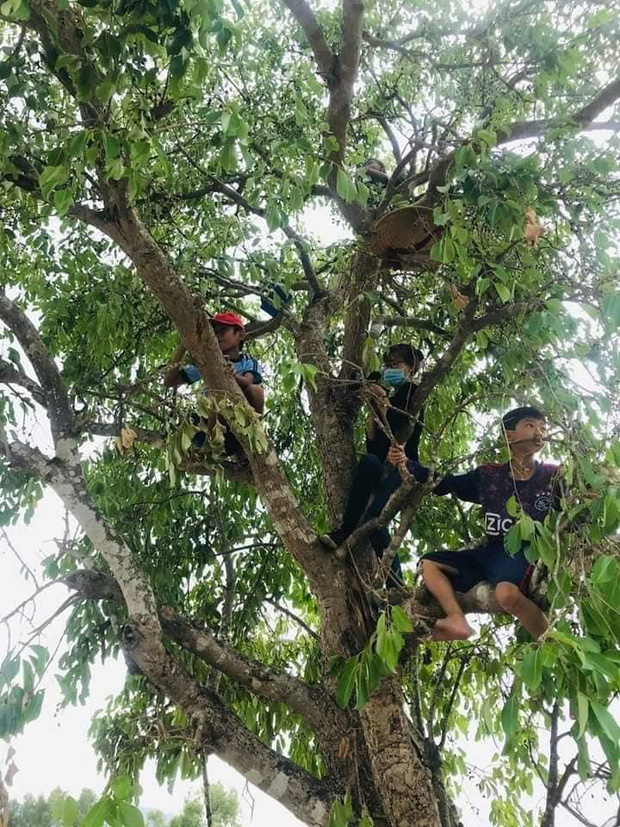 Cô nàng đăng đàn khoe “mùa cherry Việt Nam sắp đến rồi”, dân mạng nhìn kỹ thì cười muốn nội thương - Ảnh 2.