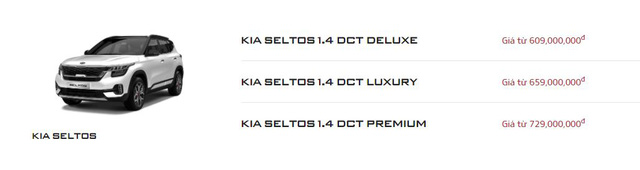 Kia Seltos tăng giá mọi phiên bản tại Việt Nam - Vua doanh số chưa sợ tụt hạng - Ảnh 1.