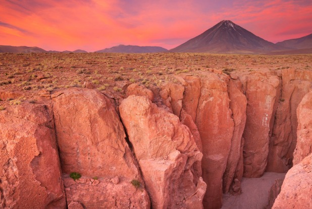 Bí ẩn xác ướp của những con vẹt rừng nhiệt đới bên dưới sa mạc Atacama - Ảnh 1.