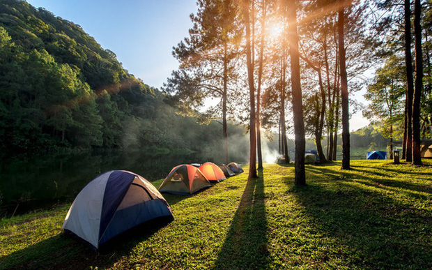 Đi camping hay du lịch nhất định phải thuộc lòng những kỹ năng sơ cứu này - Ảnh 1.