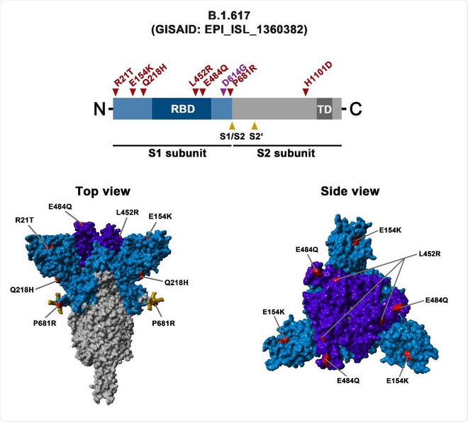 Anh: Gần 4,5 triệu ca nhiễm Covid-19, xuất hiện loại virus đột biến mới khiến 49 người mắc - Ảnh 5. Anh: Gần 4,5 triệu ca nhiễm Covid-19, xuất hiện loại virus đột biến mới khiến 49 người mắc - Ảnh 5.