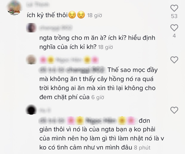 Chê một số bạn trẻ Việt tham lam và ngu dốt vì tự ý hái trái cây của người Nhật, TikToker 1 triệu follows khiến dân mạng tranh cãi nảy lửa - Ảnh 2.