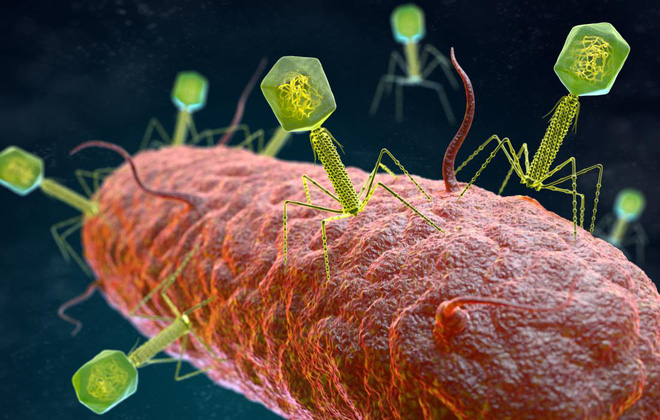 Những virus có bộ gen ngoài hành tinh sẽ khiến sách giáo khoa sinh học phải được viết lại - Ảnh 2.
