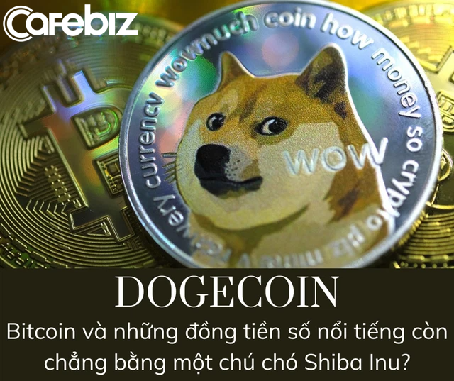 Financial Times: Dogecoin - Canh bạc hời hay cú lừa? - Ảnh 3.
