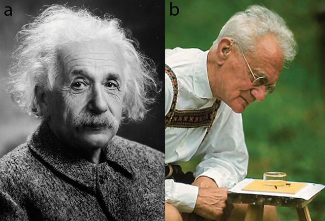 Một bức thư thất lạc của Einstein vừa được tìm thấy, và nó tiết lộ những dự đoán của ông về siêu giác quan của động vật - Ảnh 2.