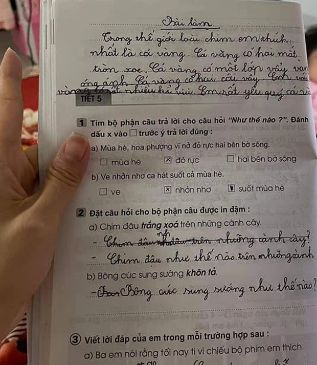 Học trò lớp 1 trổ tài viết văn miêu tả siêu lầy, người lớn đọc vào chỉ biết ôm bụng cười vì quá sức sáng tạo! - Ảnh 5.