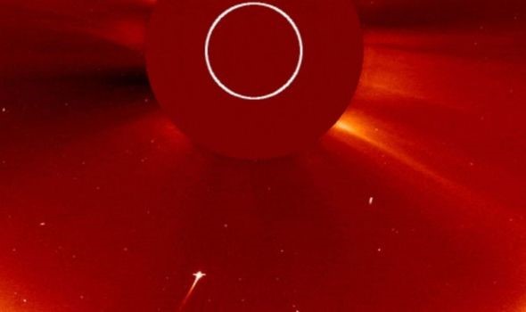 Vệ tinh của NASA cung cấp hình ảnh sao chổi bị Mặt trời nuốt chửng - Ảnh 1.