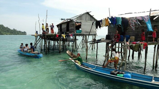 Tim có mùi gì? Tại sao xương quai xanh dễ gãy? Đây là những sự thật về cơ thể mà ít người biết tới - Ảnh 2.