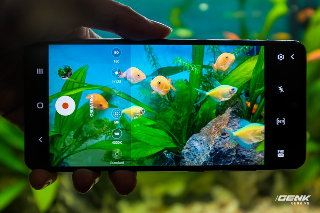Thử khả năng kháng nước của Galaxy A72 với buổi chụp hình trong bể cá cảnh - Ảnh 2.