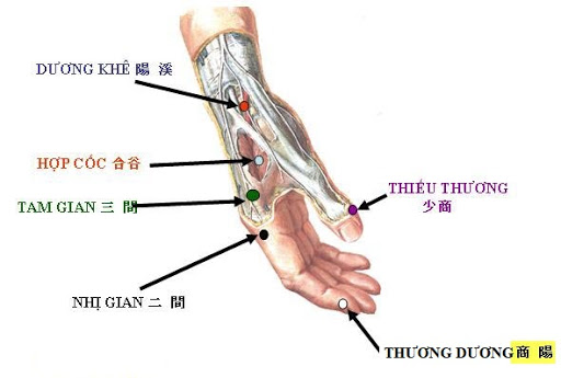 Làm gì để hạn chế các triệu chứng nguy hiểm ở người nhiễm covid? - Ảnh 1.