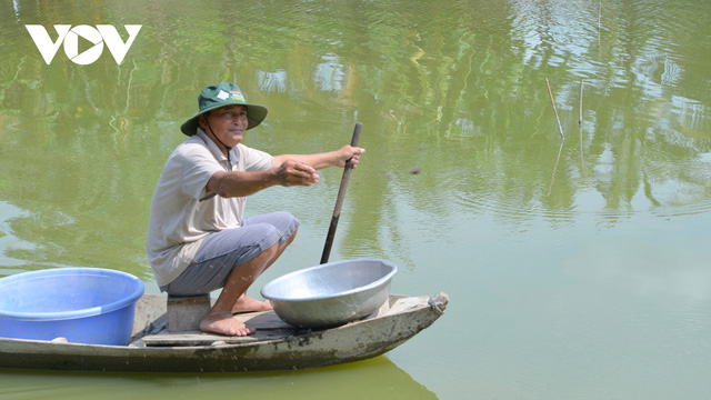  Thu nhập hàng trăm triệu đồng từ mô hình nuôi tôm càng xanh toàn đực  - Ảnh 3.