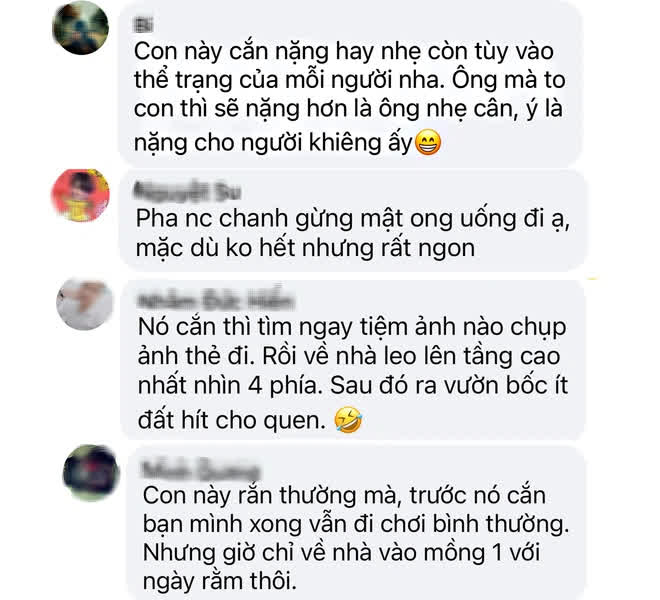 Thực hư loài rắn nếu bị cắn thì nhanh tay bốc nắm đất lên ngửi cho khỏi bỡ ngỡ! - Ảnh 2.