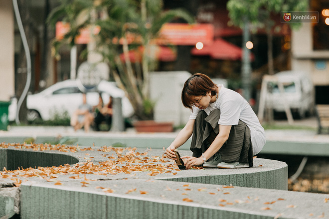 Sài Gòn bỗng nên thơ hơn bao giờ hết nhờ khoảnh khắc nghịch hoa chò của 2 vị phụ huynh vô cùng đáng yêu - Ảnh 3.