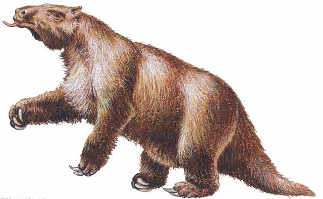 Top 10 loài động vật khủng khiếp nhất mà người tiền sử từng phải đối mặt - Ảnh 3.
