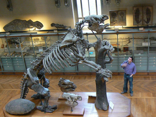 Top 10 loài động vật khủng khiếp nhất mà người tiền sử từng phải đối mặt - Ảnh 4.
