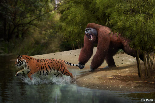 Top 10 loài động vật khủng khiếp nhất mà người tiền sử từng phải đối mặt - Ảnh 5.
