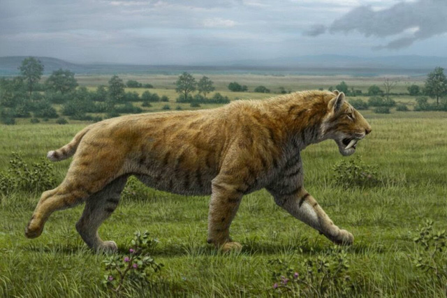 Top 10 loài động vật khủng khiếp nhất mà người tiền sử từng phải đối mặt - Ảnh 9.