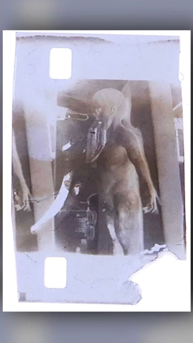 Bất ngờ số phận bức ảnh nổi tiếng về thi thể người ngoài hành tinh từ bộ phim tuyệt mật - Ảnh 3.