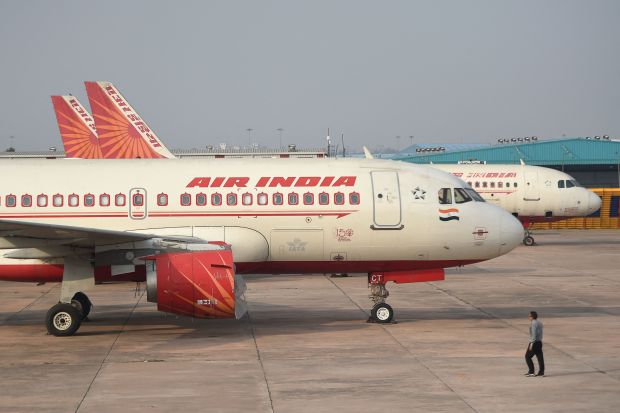 Video: Sốc với con vật bay trong khoang hành khách máy bay khởi hành từ Ấn Độ - Ảnh 3.