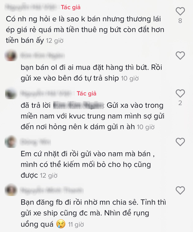 Một loại quả ở miền Bắc rụng chín cả gốc, cho không ai thèm lấy nhưng vào đến trong Nam thì có giá đắt xắt ra miếng? - Ảnh 2.