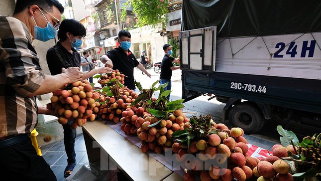 Vải thiều Bắc Giang được bán với giá 20.000 đồng/kg ở Thủ đô - Ảnh 2.