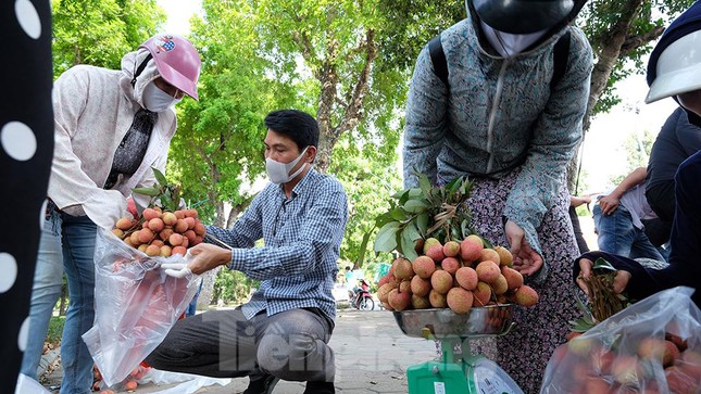 Vải thiều Bắc Giang được bán với giá 20.000 đồng/kg ở Thủ đô - Ảnh 11.