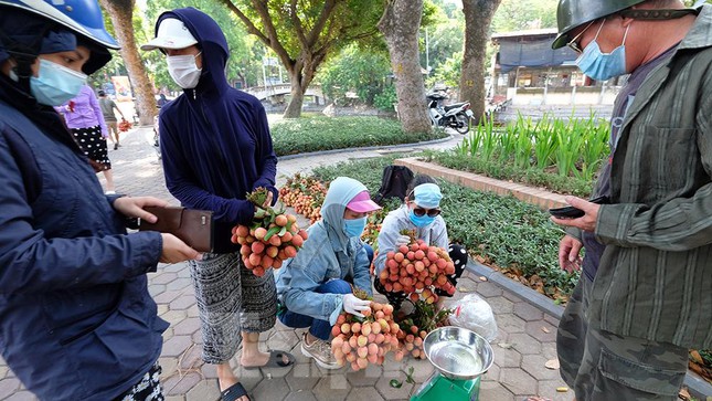 Vải thiều Bắc Giang được bán với giá 20.000 đồng/kg ở Thủ đô - Ảnh 12.