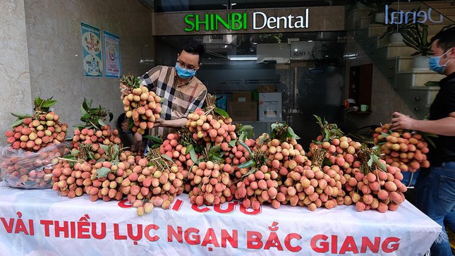 Vải thiều Bắc Giang được bán với giá 20.000 đồng/kg ở Thủ đô - Ảnh 3.