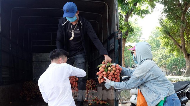 Vải thiều Bắc Giang được bán với giá 20.000 đồng/kg ở Thủ đô - Ảnh 6.