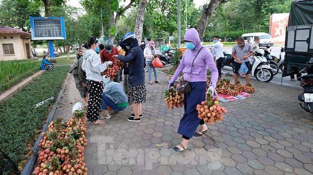 Vải thiều Bắc Giang được bán với giá 20.000 đồng/kg ở Thủ đô - Ảnh 7.