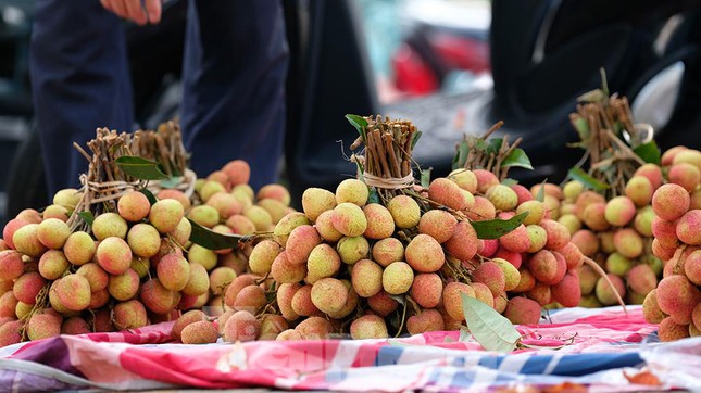 Vải thiều Bắc Giang được bán với giá 20.000 đồng/kg ở Thủ đô - Ảnh 10.