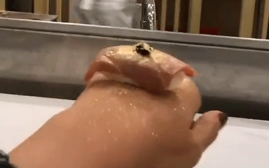  Học đ&ograve;i đi thưởng thức sushi kiểu nh&agrave; gi&agrave;u, thanh ni&ecirc;n để mất ngay miếng ăn khi vừa đưa tới miệng  - Ảnh 2.