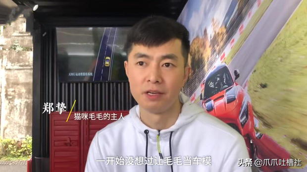 Chú mèo chuyên nằm nóc xe hơi chỉ chơi với ngủ nhận 50 triệu đồng/ buổi giúp sen đổi đời - Ảnh 6.