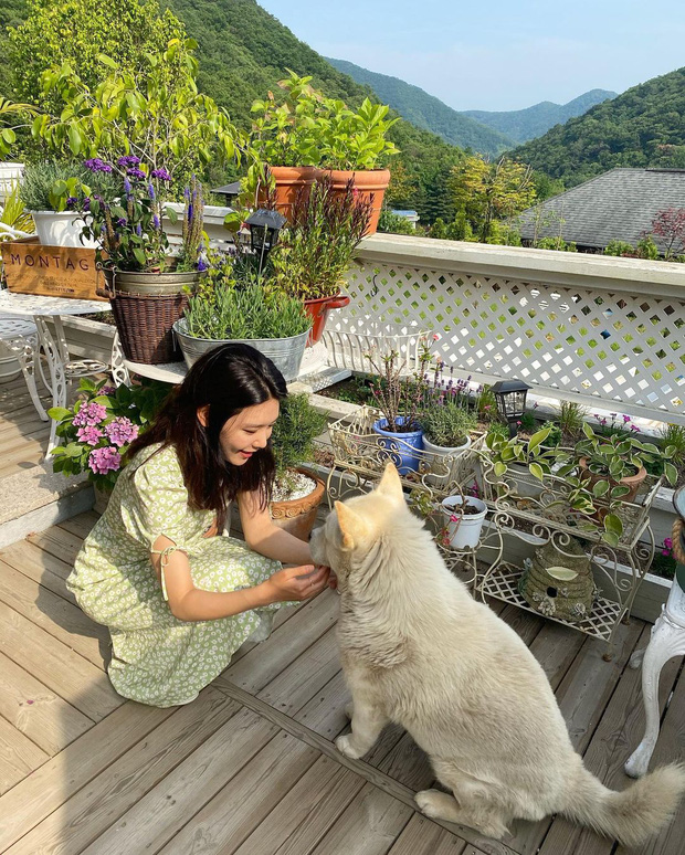 Style mùa hè của Tiffany - Sooyoung (SNSD) chính là chân ái cho những quý cô thanh lịch nhưng sexy khó cưỡng - Ảnh 9. Style mùa hè của Tiffany - Sooyoung (SNSD) chính là chân ái cho những quý cô thanh lịch nhưng sexy khó cưỡng - Ảnh 9.