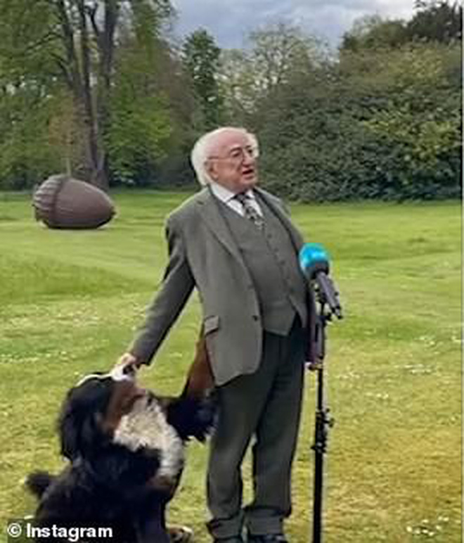 Chó cưng của Tổng thống Ireland càn quét MXH vì màn phá rối chủ đáng yêu hết sức ngay trên sóng trực tiếp - Ảnh 3.