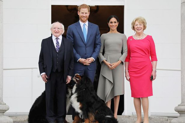 Chó cưng của Tổng thống Ireland càn quét MXH vì màn phá rối chủ đáng yêu hết sức ngay trên sóng trực tiếp - Ảnh 7.