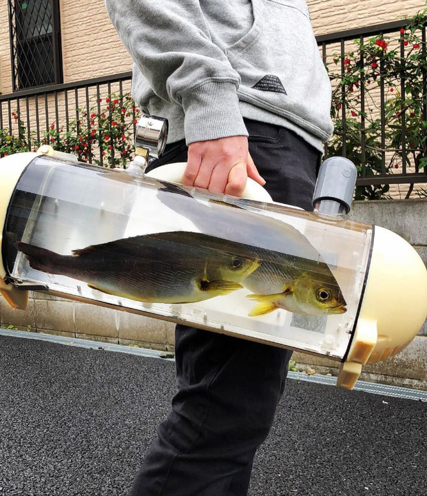 Người Nhật phát minh ra bể di động để dắt cá đi chơi, tưởng vô dụng nhưng lại cháy hàng mới lạ - Ảnh 2.