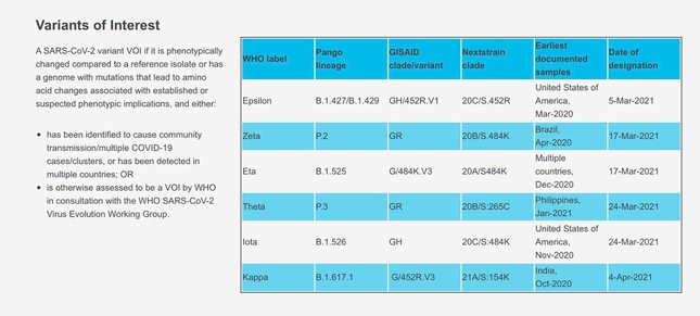 WHO đề nghị thay đổi cách gọi biến chủng Anh, Ấn Độ để tránh kì thị  - Ảnh 2.