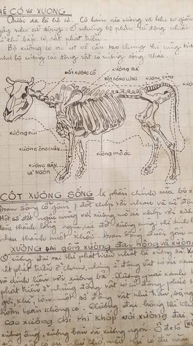 Cuốn vở Sinh học cách đây 64 năm: Ghi chép siêu nghệ thuật, hình vẽ đẹp mê hồn khiến học trò trỗi dậy động lực học hành! - Ảnh 9.