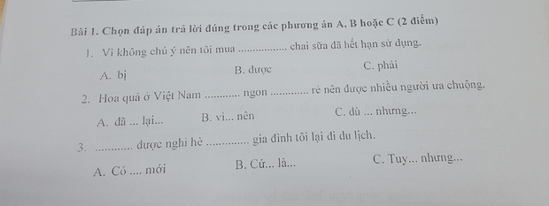 Bài thi năng lực tiếng Việt ở Nhật đọc mà sang chấn vì toàn ngữ pháp khó, đến người Việt cũng xin bó tay - Ảnh 1.