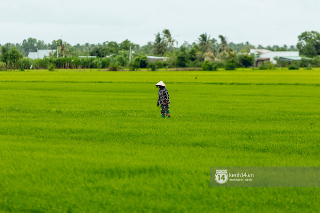 Trực tiếp đến Tiền Giang: Đau lòng khi thấy nhà Hồ Văn Cường bị bỏ hoang, hàng xóm kể lâu rồi không thấy bố mẹ ruột và Phi Nhung về thăm - Ảnh 19.