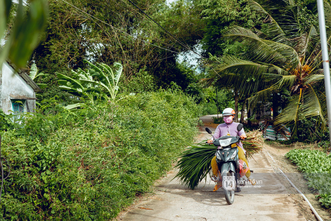 Trực tiếp đến Tiền Giang: Đau lòng khi thấy nhà Hồ Văn Cường bị bỏ hoang, hàng xóm kể lâu rồi không thấy bố mẹ ruột và Phi Nhung về thăm - Ảnh 20.