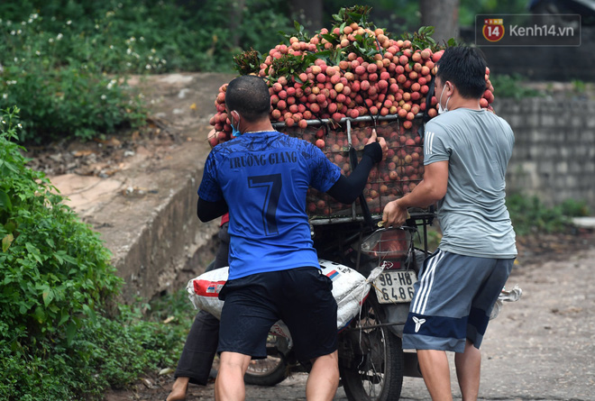 Bắc Giang: Kiếm tiền triệu từ việc đẩy xe chở vải lên dốc cầu phao trong mùa thu hoạch - Ảnh 10.