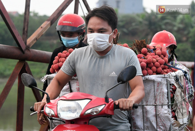Bắc Giang: Kiếm tiền triệu từ việc đẩy xe chở vải lên dốc cầu phao trong mùa thu hoạch - Ảnh 11.