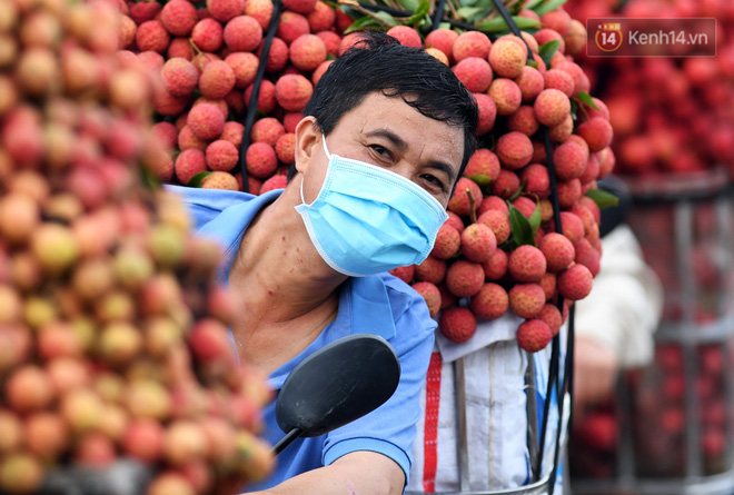 Bắc Giang: Kiếm tiền triệu từ việc đẩy xe chở vải lên dốc cầu phao trong mùa thu hoạch - Ảnh 15.