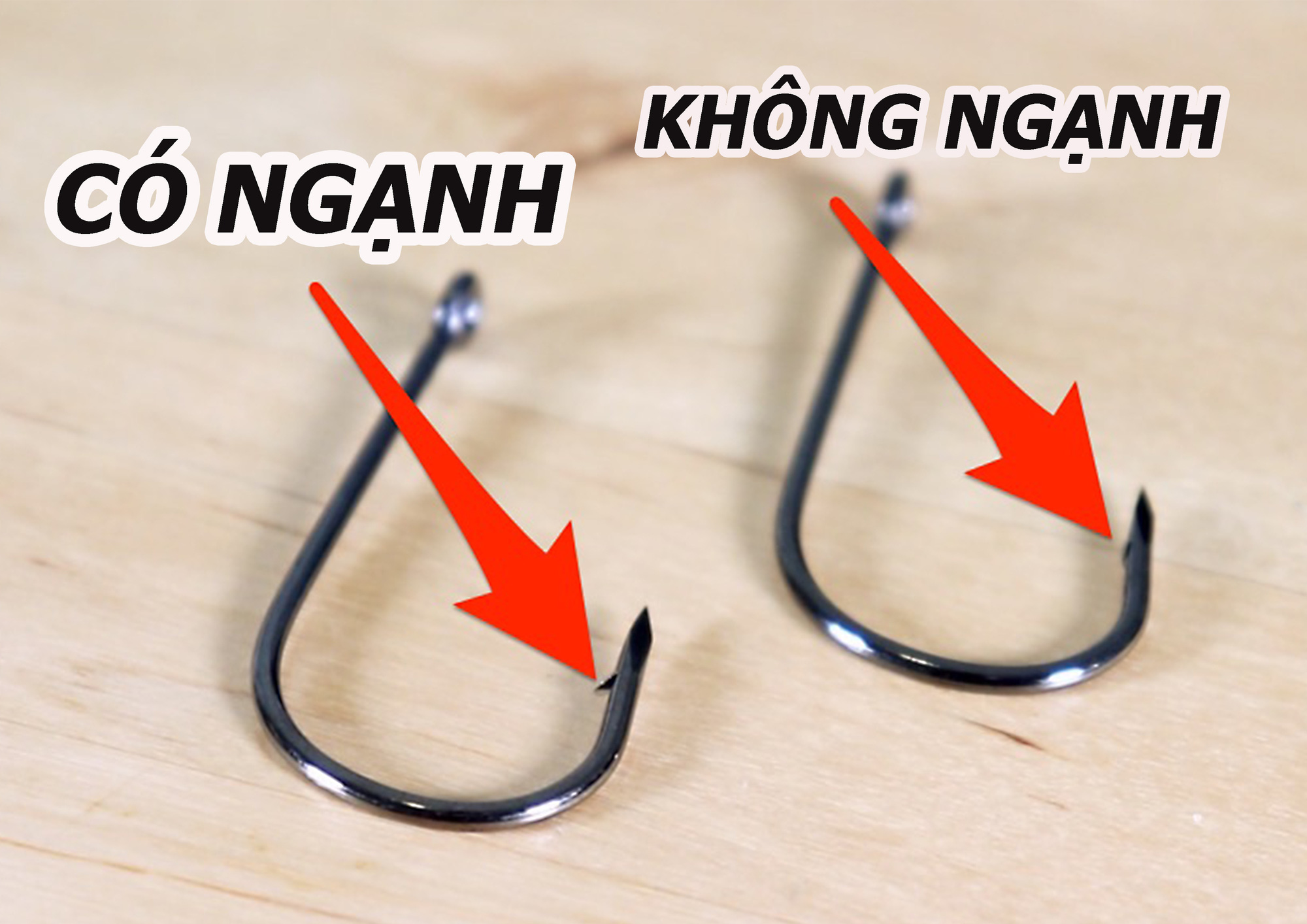 Tại sao ngư d&acirc;n c&oacute; thể c&acirc;u c&aacute; ngừ si&ecirc;u tốc m&agrave; kh&ocirc;ng tốn thời gian lắp mồi lẫn gỡ c&aacute;? - Ảnh 5.